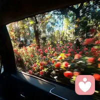 每天跑跑步，每天进步一点，内心踏实愉悦，自己爱自己配图