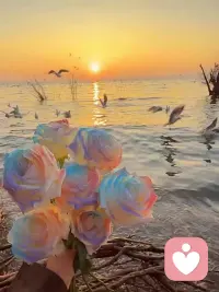 除夕快乐，愿今年所有的遗憾都是来年惊喜的铺垫，有你，有我，有大家配图