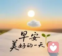 人生其实很纯粹，
热爱就大胆去奔赴， 
拥有的就用心去感受，
错过的就微笑着释怀， 
让每一刻都盈满诗意与自在。
美好的一天，从早晨开始🌴🌱