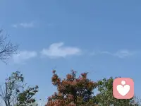 最难熬的时候，别总遥望遥远的将来，
先劝自己把今天过踏实。
很多时候，我们迈不过的
不是生活的坎，而是心里的关。

事情本身压不垮人，
能压垮人的是情绪；
身体的累能扛过去，
心里的累却会让人崩溃。
生活总有猝不及防的意外，
但很多事根本不配占用你的情绪。
向阳而生，做个自带温度的人，就够了。配图