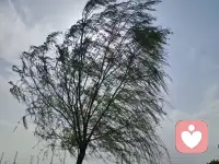 你简单，世界就是童话；
你复杂，世界就成了迷宫。
这世间本就不必太贪心，
有良人陪伴、父母安康、孩子依偎在旁，
就是最大的安心。

世界很大，幸福却很小 —— 
守着自己的小天地，有三餐四季，
家人健健康康、整整齐齐；
懂知足、常感恩，笑着过、淡然活。
用一颗平常心，
不惊不扰过好每一天，就够了。配图