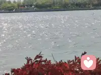 人们总以为，高光时刻该是万众瞩目的模样——是领奖台上举起奖杯的瞬间，是鲜花与掌声簇拥的时刻，是敲钟上市的荣光，或是身居要职、执掌权柄的风光。可这些被外界定义的“耀眼”，终究是结果的呈现，而非灵魂的闪光。真正的高光，不是在顺境的顶峰，而在逆境的飞扬中。配图