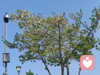 真正的高光时刻，更是历经磨难后，眼底仍藏着清醒的坚定。失败会磨掉锐气，痛苦会模糊判断，打压会动摇信心，可总有人在摔过跟头、尝过苦涩后，非但没弄丢热情，反而更清楚“该怎么做”。他们不沉溺于过去的伤痕，不迷茫于眼前的困境，带着笃定的信心一步步往前走，让每一次咬牙坚持都成为靠近目标的铺路石。这份在低谷中守得住清醒、留得住热爱的坚韧，才是一个人最珍贵的高光。
 
高光不是外界赋予的勋章，而是内心生长的力量。当一个人能在黑暗里看见光，守住梦，这一刻的他，早已比任何站在聚光灯下的时刻，都更接近“高光”的本质。配图