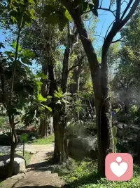 你拒绝成长，成长也会追上你，并用痛苦的方式教你。配图