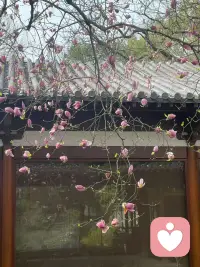 您和父亲的关系，决定了您和世界的关系。
 
父亲是方向，是力量，是我们最初的安全感与底气。
圆满的父爱，让我们带着笃定闯世界；
而缺憾的父爱，却可能让我们在权威前恐惧、在关系里卑微、在风雨中死扛。
 
但成长和疗愈的终极命题，就是学会成为自己的“父亲”：为自己立心，给自己托举，把童年缺失的光，重新照进生命，活成对抗岁月的铠甲，也活成照亮自己的星辰。✨配图