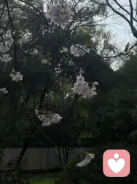 看清一个人最快速度就是对他好，真诚对待，然后你看看他怎么对待你，其实有的时候我们对一个人好，不是说你要回报我有多好，而是就是我看看你到底是一个什么样的人，很多人是接不住真诚的，你给出好的一面，就像一个镜子一样，你就可以看到对方的本性，一般成熟度高的，认知高的，他会觉得你是在尊重他，然后他会回馈，甚至加倍对你好，但是认知比较低的人呢，他就会觉得你在讨好他，觉得你这样理所应当，而那些没有认知的人呢，甚至会觉得你是应该的，还会变本加厉的索取，就是人和人之间的关系有三种境界：弱者拆台最后两败俱伤；强者补台相互能成就；智者搭台渡人也是渡己。配图