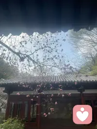 你已经很辛苦了，往后好好善待疼爱自己，好好偏爱自己，才是一生最靠谱的救赎。配图