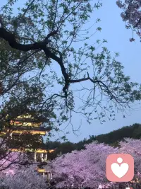 只有对的人才能给你带来正向滋养，
所以，遇人别急着掏心，
慢一点冷一点的人，
可能才是对的那一个配图