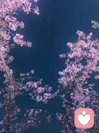 情绪从不是软肋，直面才是成长。心理咨询是与自己和解的温柔旅程，抚平过往伤痕，缓解内心内耗，让你带着勇气轻装奔赴往后的日子。配图