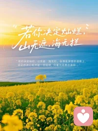 看淡得失，向内自愈，向上生长
 
人这一生，最好的心态，莫过于：该走的不挽留，该留的不放手，万般皆随缘，得失皆坦然。
 
慢慢长大，也是慢慢自愈、慢慢通透的过程。
 
二十岁的我们，执着于人心聚散，纠结于得失成败。有人转身离开，就彻夜难眠、耿耿于怀，把情绪困在执念里，久久走不出来。
 
可走过岁月才懂，成年人的顶级清醒，是允许一切发生。
 
所有离开、所有失去，从来都不是遗憾，而是筛选。
 
人与人、事与事的渐行渐远，本质是磁场不合、维度不同。那些主动淡出你生命的人和事，只是和当下的你不再匹配，是生活在帮你清空错的、多余的、消耗你的一切。
 
不必难过，无需内耗。
 
人生本就是一场体验，不是一场执念。不必事事较真，不必人人强求。
 
过往的遗憾、突然的别离、落空的期待，于漫长人生而言，不过是蚊虫叮咬般的小事，转瞬即逝，不值一提。
 
往后余生，放下占有欲，戒掉纠结心。
得之坦然，是锦上添花；失之淡然，是涅槃重生。
 
心里不装悲伤，只存温柔与热爱。
坦然接纳所有来去，安静提升自己维度。
旧人落幕，自有新景登场；告别过往，方能奔赴更好的山海。
 
风来听风，事来成事，一切随风，万般自在。配图