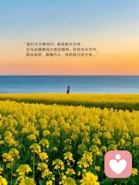 人生这场戏最高的境界便是：
身在戏中，认真体验每一个悲喜瞬间
心在戏外，清醒关照每一次缘起缘灭
 
剧本里注定的，千山万水也会朝你走来
不属于你的，费尽心力也终究是指尖流沙
 
用三句话看戏
第一句：原来如此，接纳一切为功课
第二句：所为何来，教会我渡我哪一程
第三句：戏要继续，不沉溺过去担忧将来
 
人生再无困境
得之坦然，失之淡然
争其必然，顺其自然配图