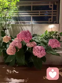 我们终于长到这般年岁。
上能读懂长辈半生风雨里的沧桑，
下能接纳少年意气风发的锋芒。
 
心怀分寸，爱恨分明：
以真心回应深情，以淡然面对薄情，以温柔善待同频之人。
 
恍然惊觉，岁月赠予我们最好的礼物，是阅尽世事后，依然保有本心，亦懂得取舍。配图