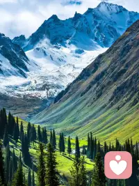 只要你能沉住心态、保持淡定，
急疯的只会是旁人。
面对狂妄自负的人，你不恼，
他便觉得没趣，自讨没趣；
面对刻意挑衅的人，你不恼，
他才会知晓你不好惹，
骨子里的坚定无人能撼动；
面对蛮横无理的人，你不恼，
他才会认清自己的粗鄙无礼。

你的从容，便是最硬核的底气；
不轻易动气，才是最深的处世智慧。
能掌控自己的情绪，才能把握自己的人生，
克制脾气、不被情绪裹挟，内心自然安稳，
这既是最佳的状态，也是人生真正的赢家。