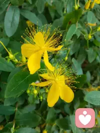 女人一定要记住，要么找一个能给你一座金山的男人，要么找一个能把命给你的男人，要么就独自一个人。你谈那么多愚蠢的感情有什么用？浪费你的时间，浪费精力，糟蹋身体，谁拿你当宝，你就陪谁到老。谁若不珍惜你，你就把他换掉。心一定要狠，把爱留给最疼爱你的男人。女人一定要记住。配图