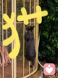你有没有发现一个扎心的事实：
 
你收藏了几百篇干货，遇到问题还是不会解决，你报了很多课，听完还是老样子，你看了无数成功案例，到自己做就失灵
 
你不是没学
你是只学了“答案”，没学“怎么得到答案”

马斯克要造火箭。别人告诉他：火箭很贵，这是常识。他把火箭拆成最基本的原材料——铝、铜、钛、燃料。然后去查这些原材料在市场上的价格。发现：原材料成本只有火箭售价的2%。于是他自己造，把成本降了90%。配图