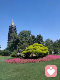 不要碰任何上不了台面的东西，包括人。
 
因为你以为那只是一次心软、一次侥幸、一次大度，可最后你会发现背后全是麻烦。比如那些说话轻浮的人，那些习惯撒谎的人，那些关系混乱的人，那些精致利己的人，那些情绪极端、毫无边界感的人……
 
你一旦靠近，他们身上的混乱，迟早会卷到你。你以为自己只是简单合作一下、当个搭子而已，最后大概率会被消耗、被拖累、被影响。
 
真正高级的人生，是干净的人生。圈子干净、关系干净、事业干净、生活干净。你会发现那些真正有能量的人，都是非常挑剔甚至有些刻薄的。因为他们知道很多东西，一旦妥协、看似廉价，实则代价巨大，尤其是那些上不了台面的人。
 
啥叫上不了台面？单纯的穷不是上不了台面，没有基本教养、习惯算计别人、满嘴低级恶意、喜欢挑拨关系、喜欢窥探他人隐私、情绪失控还理直气壮、永远活在混乱和消耗里，这才叫上不了台面。
 
这种人最可怕的地方是，他们会把你也拖进他们的世界。你的情绪开始变差、你的状态开始内耗、生活开始失控。最后你才明白，低质量的人际关系，真的会毁掉一个人的能量场。
 
所以，人一定要自觉矜贵。
 
什么意思呢？就是绝对不会因为之前的破烂不堪而对人生无望，也不会因为别人的评价而对自己失望，更不会因为那些已经做出的选择、已经无法改变的事实而绝望。说白了，就是建立不需要前置条件的配得感。从心里就觉得：自己很珍贵、很值钱、很重要。
 
你的时间很贵，你的情绪很贵，你的专注力很贵，你的身体和精神状态更贵。不是谁都配靠近你，也不是谁都值得你消耗自己。
 
现在这个社会环境，我们一定要会“收”。收社交、收表达、收好奇心、收没必要的关系、收虚荣。
 
一定要守住自己的能量场。
远离总让你焦虑的人；
远离让你掉价的关系；
远离见不得你好的人；
远离一切见不得光的事物。
 
因为很多时候，你接触什么，你就会慢慢变成什么。当你凝视深渊时，深渊也在凝视你。
 
高级的自爱，与物质无关，是要懂得筛选。筛选环境、筛选关系、筛选圈层、筛选身边的人。
 
你的人生不需要热闹，真正需要的，是干净。
 
人与人相遇，是两套能量系统的碰撞，无非相生、相克、相冲。包容、帮扶能量混乱、气场紊乱的人，只会引发相冲，麻烦接踵而至，贵人与好运也会被一并冲散。有时人生的崩塌，仅仅是因为遇见了一个气场杂乱的人。配图