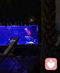 豪门婚姻未必是人生避风港

还记得《还珠格格》里温柔通透的晴格格吗？
 
当年的王艳，在事业巅峰期选择隐退，嫁入豪门，过着旁人羡慕的生活。
 
可丈夫债务危机来袭，昔日的安稳碎了一地。
 
50+的她没有躺平，转身走进直播间带货还债。
 
镜头里的她，还是那个温婉的模样，却多了份直面现实的坚韧。
 
原来，别人给的避风港，也可能变成风浪本身。
 
自己挣来的底气，才是谁都拿不走的安全感。配图