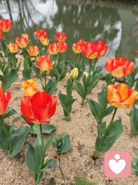 很多情绪，说出来就轻了； 很多迷茫，有人陪就清晰了。 
不评判、不指责、不催促， 只用心倾听、稳稳陪伴。 陪你梳理情绪，接纳自己， 成为更好的自己，如果你正被焦虑、内耗、委屈困住， 别怕，我在这里配图