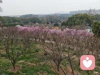 想说说心里话吗？只要你愿意说，我就愿意听，不管是家庭赡养的压力，还是情绪内耗，别让她们在心里发霉，来找我，这里是你的专属树洞。配图