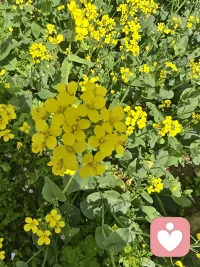 难过时有人听，迷茫时有人陪配图