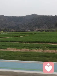 周末愉快！配图