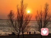 你不需要被治愈，你只需要被看见，看见即疗愈配图