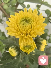 我有心理准备的是在这里会遇见各种各样的人，你最真实最直白的语言表达着自己，那不是问题，每个人生来不完美，但每个人都需要被看见配图