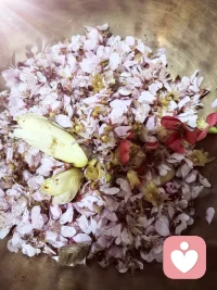 河岸十里桃花
春风漫步柳下
釆得桃花作露
遥寄岭南人家配图