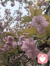 异性之间最好的礼物不是任何的东西，而是这个独一无二的你，两人之间互相准备的礼物是每一天鲜活的成长的自己