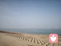 在洪山江滩跑步时，突然跑了一条不寻常的小路，让我看到了图片中的美景，然后我就停了下来，和AI梳理了一下我最近的感悟:我发现我找到了，我一直以来不敢活自己的根源,一瞬间身体的记忆涌出来了很多很多的眼泪。当我意识到我可以放下以前那个想要活完美，在意别人眼光的底层信念后，我可以只做我自己，好好的爱我自己。我的每一个和自己在一起的当下都是最有意义的时刻，我怎样都可以，我怎样都值得被爱。
看见自己恐惧，害怕，担忧的情绪，倾听到了自己想要活自己的声音，终于站在了自己的一边，好好爱自己，把自己活成爱，活成光。