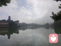 今日心语：
情绪只需要被自己看见、允许、接纳就好了，而不一定需要去向外宣泄。 
安住于心，便是归处。🌿