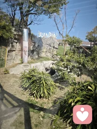 今日深度觉察｜我已圆满，也依然有不配得感
 
今天站在生存、生活、生命三个层面回看自己，
我清清楚楚看见：
我真的已经走在圆满的路上了。
生存上，我不再焦虑，
确信自己安稳踏实，底层安全感稳稳落地。
生活上，我有时间、有心力好好爱自己，
冥想、运动、读书、学习、成长，
把日子过成滋养自己的过程。
生命上，我时刻带着觉察，
一步一步靠近本心，走在回家的路上。 
我以为自己已经足够通透、足够安定，
可旧模式还是会毫无预兆地跳出来。
和爱人温馨过节，满心幸福，同频惬意，
却会脱口而出一句：
“你很喜欢和我一起的感觉哈？”
瞬间看见：我还在向外求认可，
还在把自己的价值，绑在“被喜欢、我有用”上。
给对门邻居送水果，对方回赠糖和坚果，
我下意识就去比较礼物的价值，
觉得对方送得更贵，心里莫名不安，
好像自己占了便宜、让别人吃亏。
明明知道：往来是心意，无关价格高低，
可潜意识里，还是习惯把心意和价值对等。 
我一度困惑：
我都已经这么圆满了，
为什么这些旧模式还会出现？ 
后来我终于看清：
我的意识已经到家，我的潜意识还在搬家。
我知道自己本自具足，
可身体里、习惯里、旧信念里，
还藏着多年的模式：
求认可、怕不够好、怕亏欠、怕不配、怕不被爱。
更真实的是——
此刻我把这些文字打出来，
想分享给同修伙伴，
心里居然又冒出一个声音：
我真的配说自己圆满吗？
我真的配发出去吗？
我又一次，清清楚楚看见了自己的不配得感。
但这一次，我没有批判自己，
只是安静地、诚实地看见：
旧念头会来，旧模式会冒，不配得感会在，
可我不再被它们带走，
不再认同“我不够好”。
心底那个声音越来越清晰：
我的存在，本身就有价值。
他人的认可，只是锦上添花。
人与人之间的情意，从来不是等价交换。
我值得被善待，值得被喜欢，值得坦然接受一切美好。
我也值得，把这份真实的觉察，分享出去。 
圆满，不是从此再也没有旧念头，
而是念头来了，我看见它，不跟随，不评判。
我已经站在光里，
只是过往的影子，偶尔还会轻轻掠过。
我允许一切发生，
允许自己慢慢来，
看见即是疗愈，觉察即是归位。 
我走在回家的路上，
不假装完美，只忠于真实，
一步步，回到那个本自具足、纯粹配图