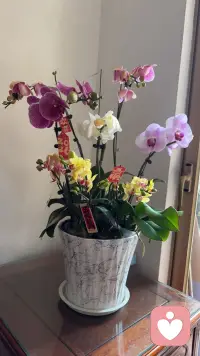 想象一个被完整倾听的时刻——

所有情绪终于不用再自我辩解，

所有疲惫都能卸下防御。

话语被接住的瞬间，也是重新找回内心力量的过程。