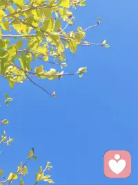 今日阳光正好，生活里没必要事事跟人辩解，说得越多，越像多余的纠缠。这世上没有真正的感同身受，你自己的感受才最真实。不用事事都解释清楚，也不用一味迁就别人，敢优先顾及自己，才能活得轻松自在。偶尔自私点、冷淡点没关系，你的人生，不用按着别人的期待去活。配图