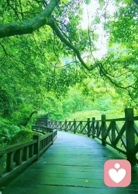 心有能量，贵在从容。
喜悦滋养自身，暴怒消耗本心。
遇事少急躁，处世无怨气，入眠抛烦忧。
脾气配得上本事，欲望匹配得住能力，德行撑得起身份。
心安情绪稳，日子自安稳。