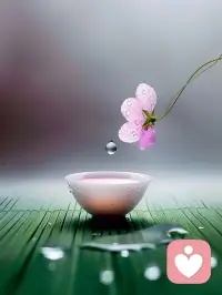每个人心里都藏着一片森林，
有暖阳平静，也有迷雾风雨。
作为倾听者，不用急于驱散阴霾，
只安静相伴，接纳所有情绪。
内心无需征服，只需看见与温柔共处，
自愈的力量，本就藏在心底。配图