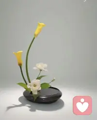 人情冷暖，看清世间真相
 
不必怨人情淡薄，这是俗世常态。
不必把全部期待寄托在别人身上，
学会独自自愈，
珍惜真心待你的少数人，看淡聚散离别。