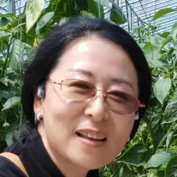 清禾