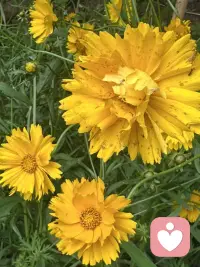心怀阳光，内心便永远澄澈温暖。生活总有起伏波折，学会与情绪平和相处，接纳自身所有状态。以豁达心态看待得失，用温柔善意对待周遭人事。守住内心笃定，慢慢治愈自我，带着积极热忱前行。保持健康阳光的心理状态，便能一路遇见温柔与美好，稳稳拥抱生活里的每份幸福。配图
