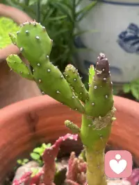 人与人最舒服的状态:我盼你好，你盼我好，互相成就，互不内耗配图
