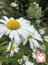 人与人最舒服的状态:我盼你好，你盼我好，互相成就，互不内耗配图