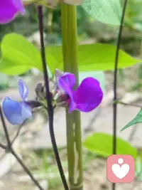 和自己和解，与生活交手。把心态放平，日子自会慢慢变好。配图