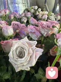 一路走来逐渐明白，人心的纠结大多源于执念。接纳自身所有情绪，不和过往对抗，懂得与自己和解，内心安稳从容，便是最好的治愈。配图