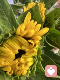 一路走来逐渐明白，人心的纠结大多源于执念。接纳自身所有情绪，不和过往对抗，懂得与自己和解，内心安稳从容，便是最好的治愈。配图