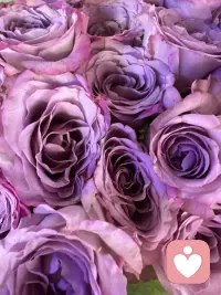 一路走来逐渐明白，人心的纠结大多源于执念。接纳自身所有情绪，不和过往对抗，懂得与自己和解，内心安稳从容，便是最好的治愈。配图