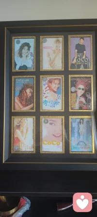 秀珍藏，想你的365天配图