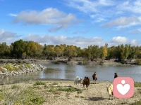 习惯性反驳的背后，常常是没想清自己真正想要什么。学会清晰表达我需要...，比说一百个不更有力量。配图