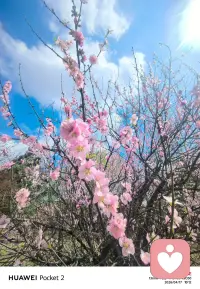 在感情里我们都在摸索成长 ❤️ 好的关系从来不是凑活，而是双向奔赴的舒服 🤍 别为了错的人困住自己，慢慢来，对的人总会在对的路口等你 ✨ 愿你敢爱敢离开，也终能收获属于自己的温柔 🫂配图