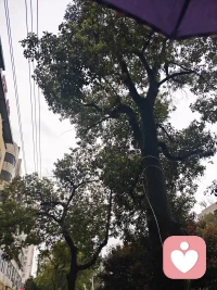 人最大的对手，往往不是别人，
而是自己的懒惰。别指望撞大运，
运气不可能永远在你身上，
任何时候都要靠本事吃饭。
你必须拼尽全力，才有资格说运气不好。配图