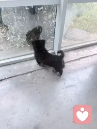 春光明媚，出门撒野配图